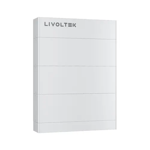 Kонтролна кутия LIVOLTEK BHF-C01ZY, High Voltage Control Box, BHF-S series, IP65
