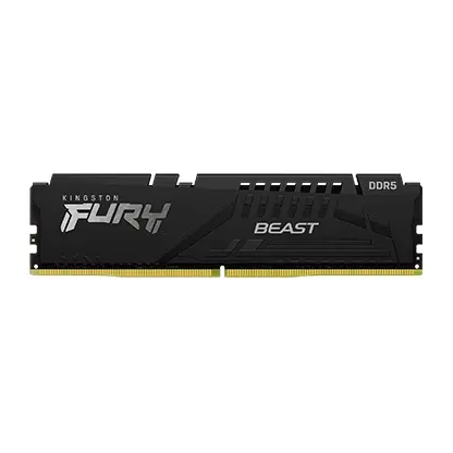 Памет, KINGSTON 32G DDR5 6000 KING EXPO BEAST