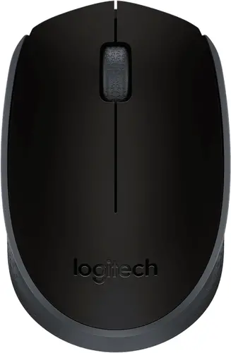 Мишка, Logitech Wireless Mouse M171 Black
