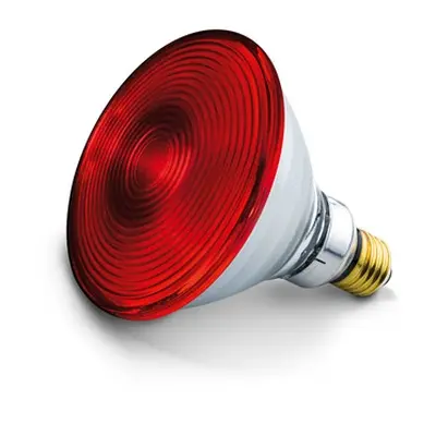 Аксесоар, Beurer IL 21 & IL 35 Infrared bulb 150 W Аксесоар, Beurer IL 21 & IL 35 Infrared bulb 150 W