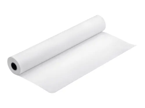 Хартия, Epson Proofing Paper White Semimatte, 24" x 30.5 m, 250g/m2