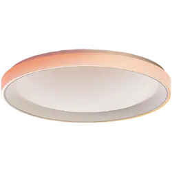 Aqara Ceiling Light T1M: Model No: CL-L02D