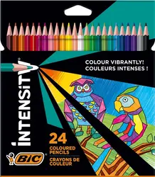 МОЛИВИ 24 ЦВЯТА INTENSITY BIC